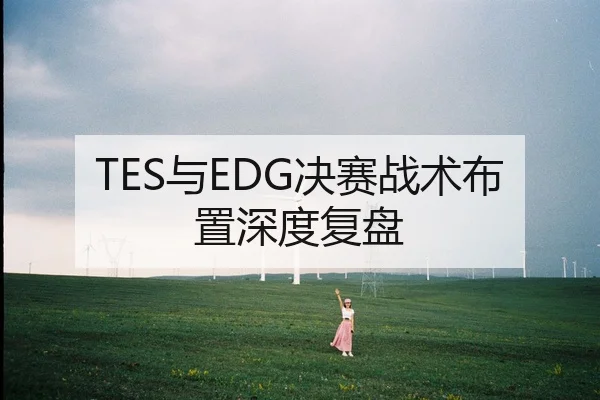 TES与EDG决赛战术布置深度复盘